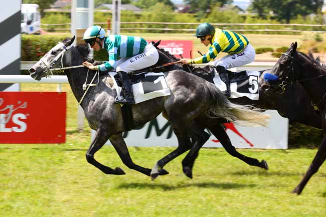 Photo d'arrivée de la course pmu PRIX FRANCIS CHENE - ASSELCO à ANGERS le Mardi 20 mai 2025