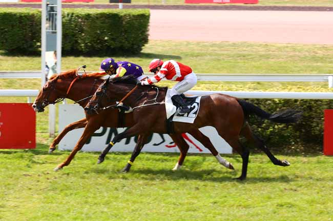 Photo d'arrivée de la course pmu PRIX HENRI CHEVALIER DU FAU à ANGERS le Mardi 20 mai 2025