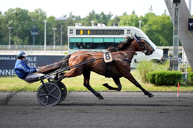 Photo d'arrivée de la course pmu PRIX CORONIS à PARIS-VINCENNES le Mardi 20 mai 2025