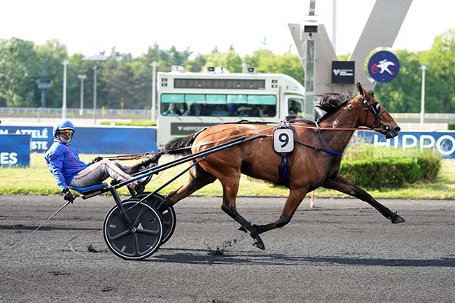 Photo d'arrivée de la course pmu PRIX FABRICIUS à PARIS-VINCENNES le Mardi 20 mai 2025