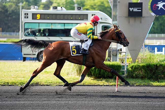 Photo d'arrivée de la course pmu PRIX LOUIS SAUVE à PARIS-VINCENNES le Mardi 20 mai 2025