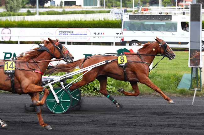 Arrivée quinté pmu 5EME ETAPE DU GRAND NATIONAL DU TROT à LE CROISE-LAROCHE