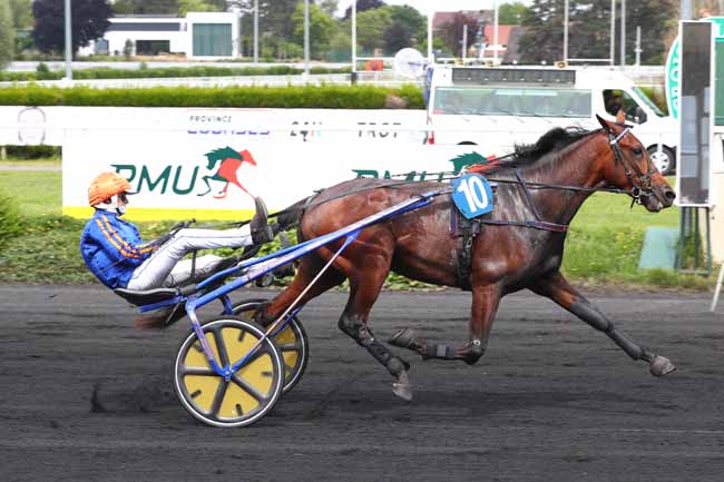 Photo d'arrivée de la course pmu PRIX PIERRE HENRI LEMAITRE à LE CROISE-LAROCHE le Mercredi 21 mai 2025
