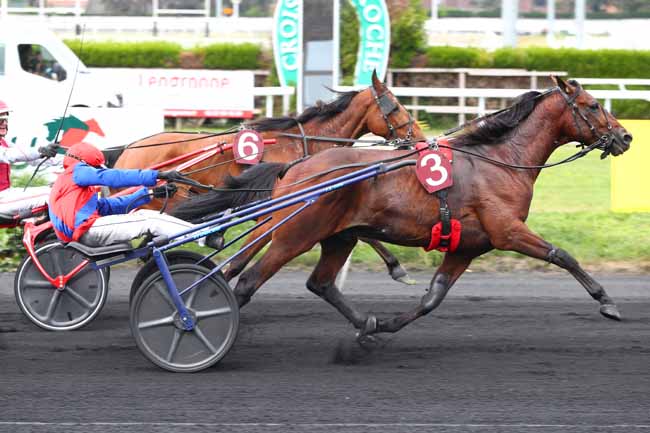 Photo d'arrivée de la course pmu PRIX LABEL EQUURES à LE CROISE-LAROCHE le Mercredi 21 mai 2025