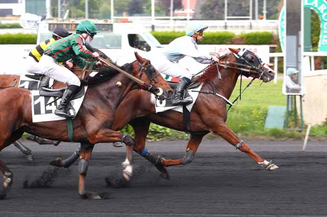 Photo d'arrivée de la course pmu PRIX HAVAS COULEURS DU MONDE à LE CROISE-LAROCHE le Mercredi 21 mai 2025