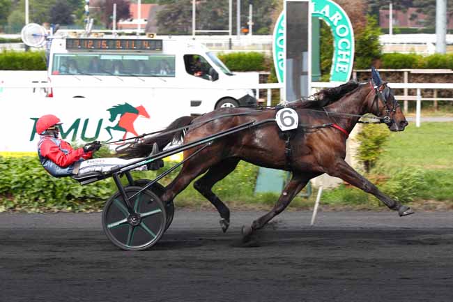 Photo d'arrivée de la course pmu PRIX DE LA FEDERATION DU NORD à LE CROISE-LAROCHE le Mercredi 21 mai 2025