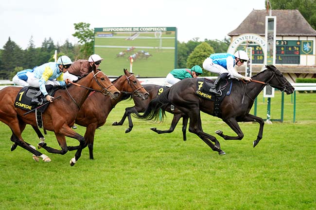 Photo d'arrivée de la course pmu PRIX DE L'AILETTE à COMPIEGNE le Mercredi 21 mai 2025