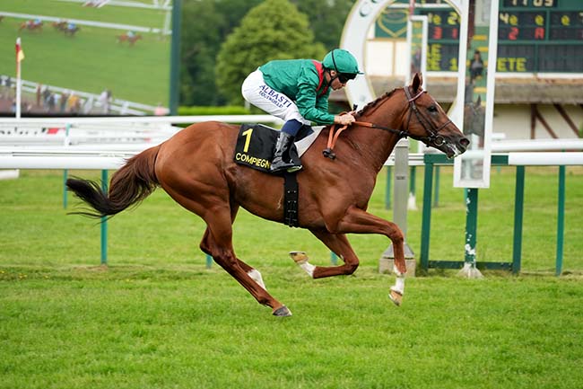 Photo d'arrivée de la course pmu PRIX DE LA DIVETTE à COMPIEGNE le Mercredi 21 mai 2025