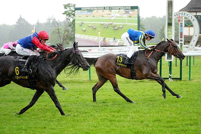 Photo d'arrivée de la course pmu PRIX DE SAINT-CREPIN à COMPIEGNE le Mercredi 21 mai 2025