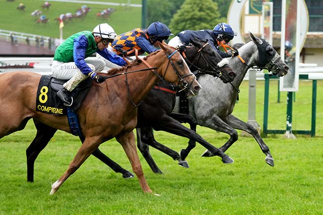 Photo d'arrivée de la course pmu PRIX DE SAINTE-PERINE à COMPIEGNE le Mercredi 21 mai 2025