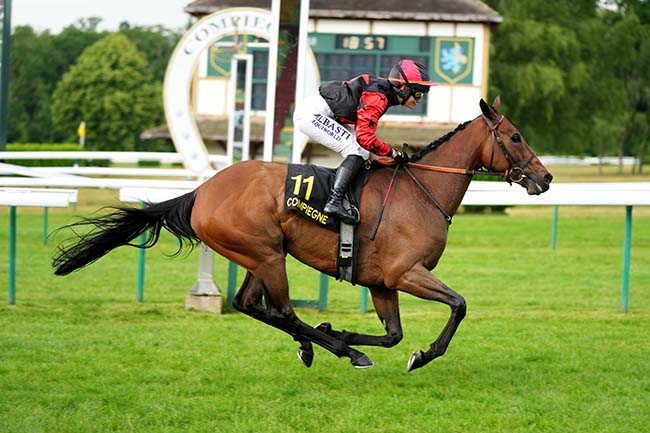 Photo d'arrivée de la course pmu PRIX DE L'ARTOIS à COMPIEGNE le Mercredi 21 mai 2025