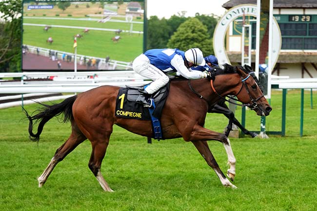 Photo d'arrivée de la course pmu PRIX DE L'AMIENOIS à COMPIEGNE le Mercredi 21 mai 2025