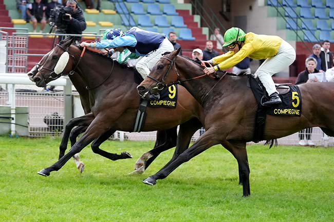 Photo d'arrivée de la course pmu PRIX DE SAINT-SAUVEUR à COMPIEGNE le Mercredi 21 mai 2025