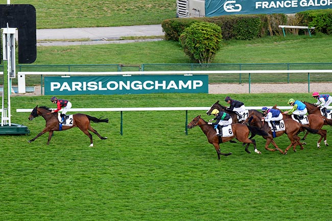 Photo d'arrivée de la course pmu PRIX DU MUSEE DU LUXEMBOURG à LONGCHAMP le Jeudi 22 mai 2025