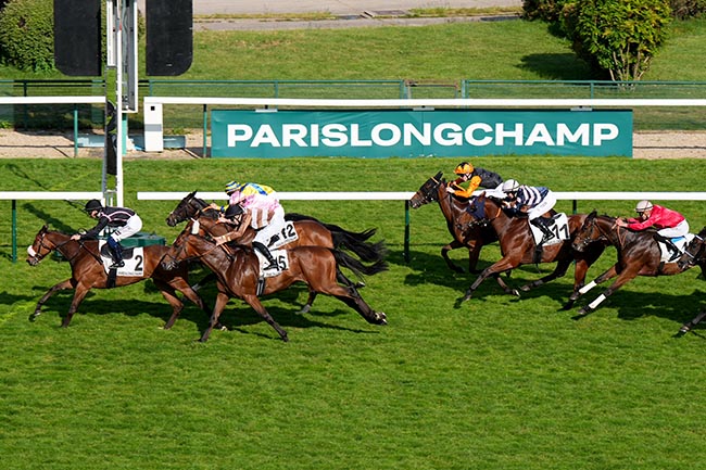 Photo d'arrivée de la course pmu PRIX DU JEU DE PAUME à LONGCHAMP le Jeudi 22 mai 2025
