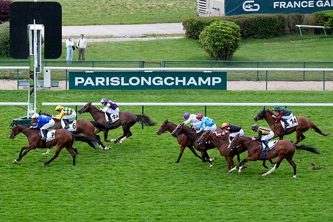 Arrivée quinté pmu PRIX DE L'ORANGERIE à LONGCHAMP
