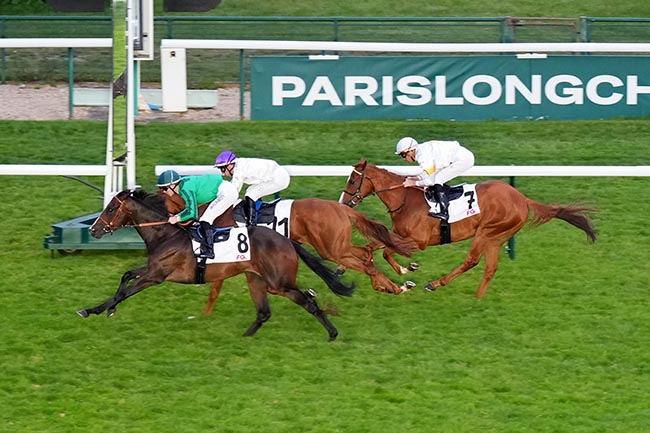 Photo d'arrivée de la course pmu PRIX RADIO FG (PRIX DU PONT DE SULLY) à LONGCHAMP le Jeudi 22 mai 2025