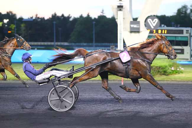Photo d'arrivée de la course pmu PRIX GLAUKE à PARIS-VINCENNES le Vendredi 23 mai 2025