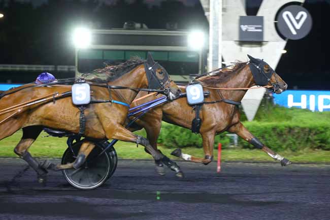 Photo d'arrivée de la course pmu PRIX LICETUS à PARIS-VINCENNES le Vendredi 23 mai 2025