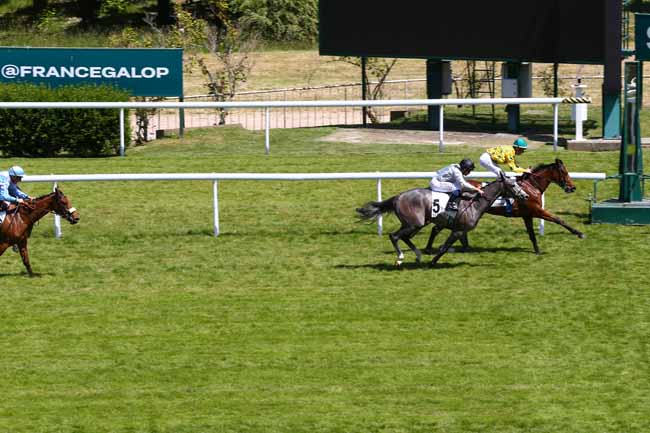 Photo d'arrivée de la course pmu PRIX PIRETTE à SAINT CLOUD le Vendredi 23 mai 2025