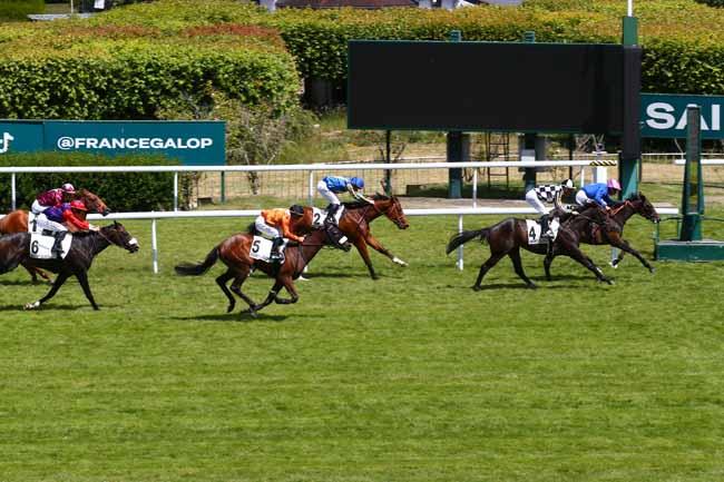 Photo d'arrivée de la course pmu PRIX PRINCE CHEVALIER à SAINT CLOUD le Vendredi 23 mai 2025