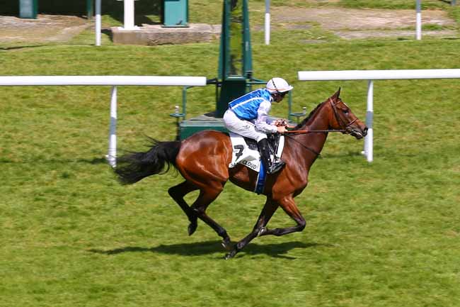 Photo d'arrivée de la course pmu PRIX TIMANDRA à SAINT CLOUD le Vendredi 23 mai 2025