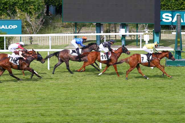 Photo d'arrivée de la course pmu PRIX LE HAAR à SAINT CLOUD le Vendredi 23 mai 2025