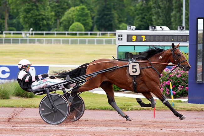 Photo d'arrivée de la course pmu PRIX D'ESPELETTE à ENGHIEN le Samedi 24 mai 2025