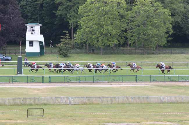 Photo d'arrivée de la course pmu PRIX DU HARAS ROYAL DE MEUDON à LONGCHAMP le Dimanche 25 mai 2025