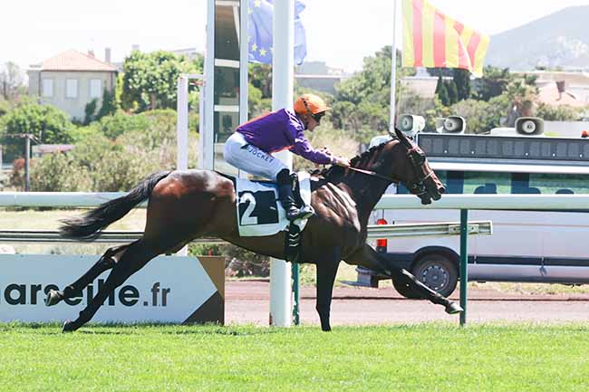Photo d'arrivée de la course pmu PRIX DU PETIT CERCLE à MARSEILLE BORELY le Lundi 26 mai 2025
