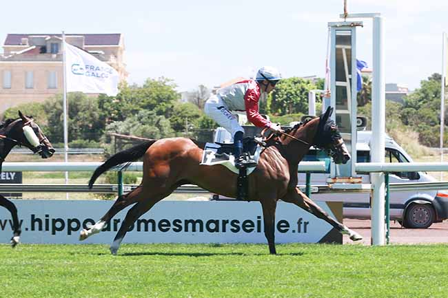 Photo d'arrivée de la course pmu PRIX DES LAURIERS à MARSEILLE BORELY le Lundi 26 mai 2025