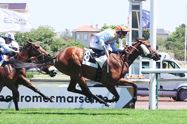 Photo d'arrivée de la course pmu PRIX DE VIEILLE CHAPELLE à MARSEILLE BORELY le Lundi 26 mai 2025