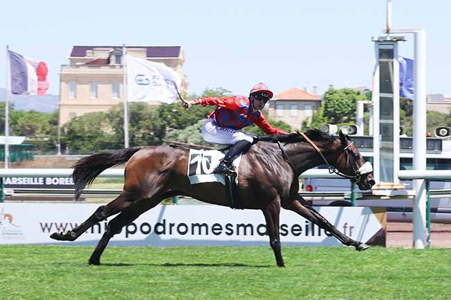 Arrivée quinté pmu PRIX LOUIS BRUNET à MARSEILLE BORELY