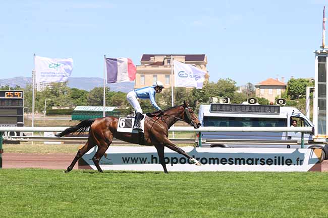 Photo d'arrivée de la course pmu PRIX DU ROVE à MARSEILLE BORELY le Lundi 26 mai 2025