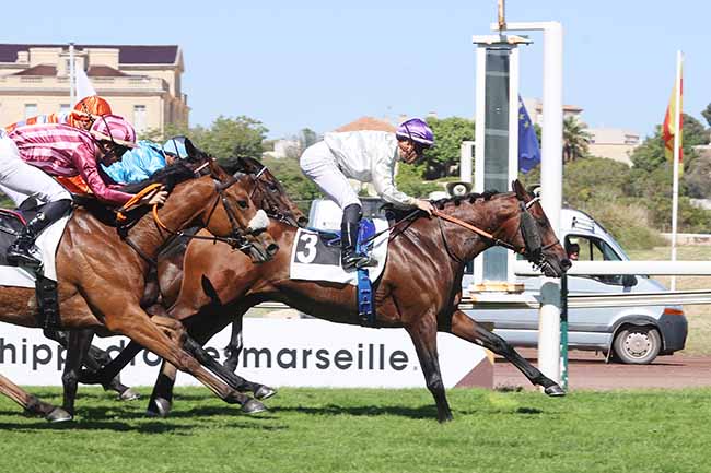 Photo d'arrivée de la course pmu PRIX DE LA COURONNE à MARSEILLE BORELY le Lundi 26 mai 2025