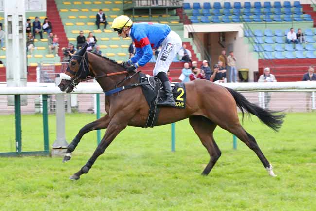 Photo d'arrivée de la course pmu PRIX TAFFETAS (PRIX GALAFRON) à COMPIEGNE le Lundi 26 mai 2025