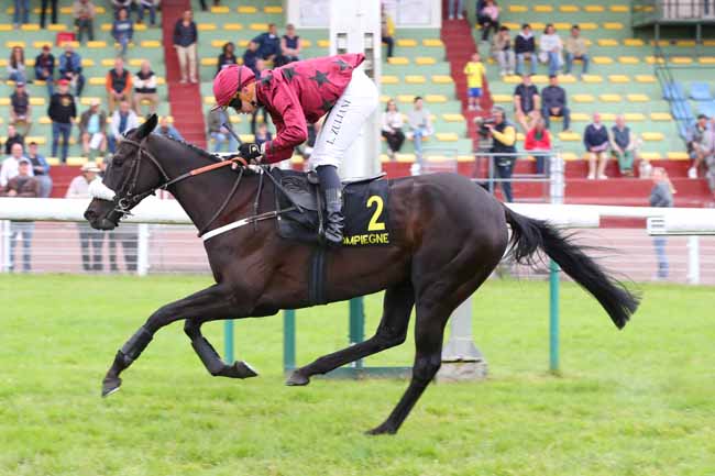 Photo d'arrivée de la course pmu PRIX COLLINS à COMPIEGNE le Lundi 26 mai 2025