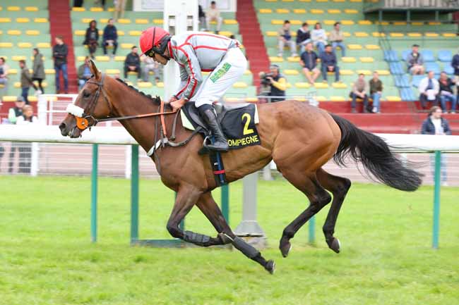 Photo d'arrivée de la course pmu PRIX SPIROU à COMPIEGNE le Lundi 26 mai 2025