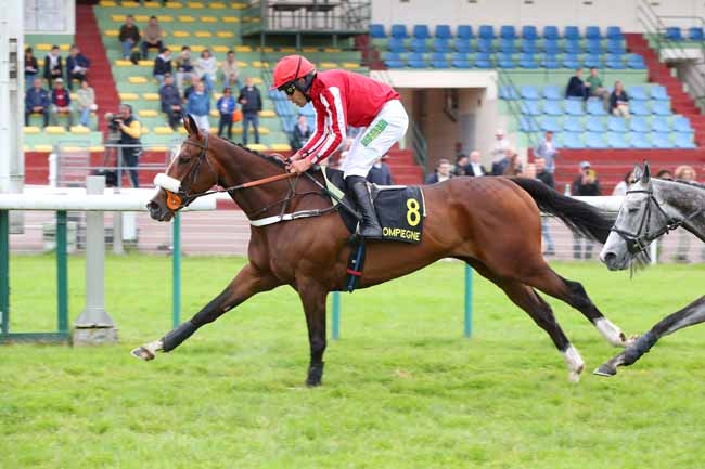 Photo d'arrivée de la course pmu PRIX MELINOIR à COMPIEGNE le Lundi 26 mai 2025