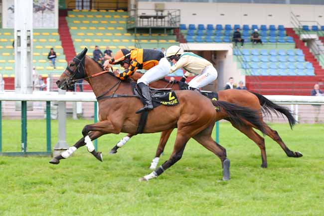 Photo d'arrivée de la course pmu PRIX OUISTREHAM à COMPIEGNE le Lundi 26 mai 2025