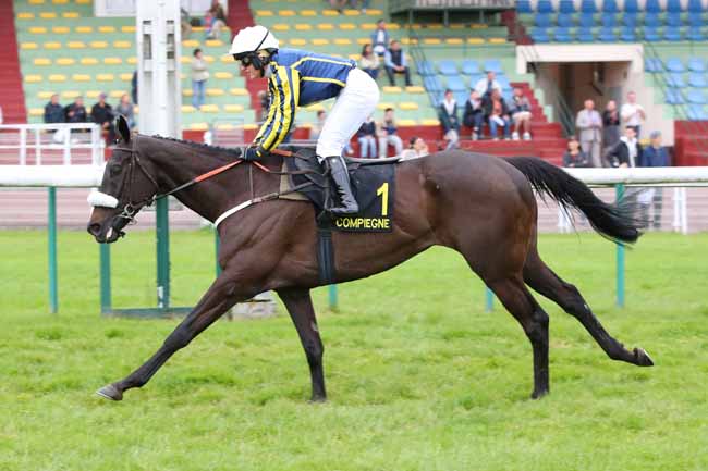 Photo d'arrivée de la course pmu PRIX XAVIER DE CHEVIGNY - CHALLENGE DE L'OBSTACLE EQUINAXY à COMPIEGNE le Lundi 26 mai 2025