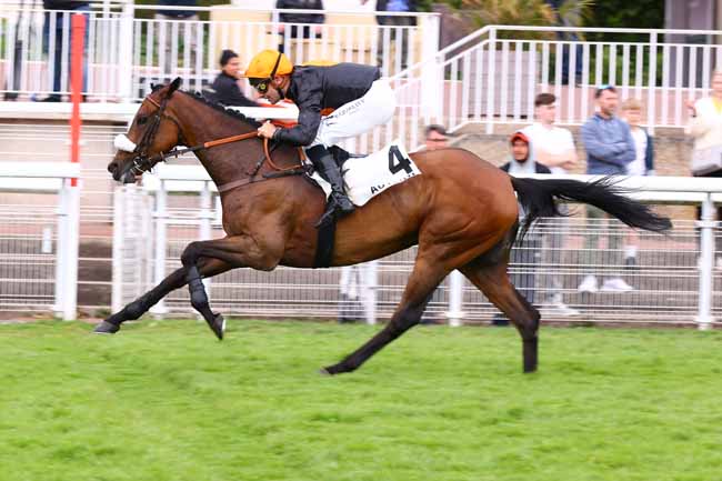 Photo d'arrivée de la course pmu PRIX CHRISTIAN DE TREDERN à AUTEUIL le Mardi 27 mai 2025