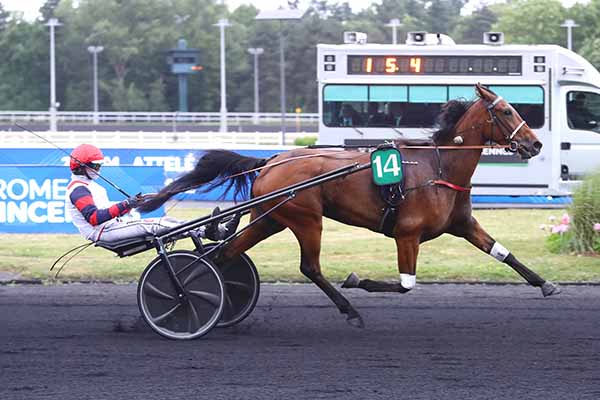 Photo d'arrivée de la course pmu PRIX BUDROSA à PARIS-VINCENNES le Mardi 27 mai 2025