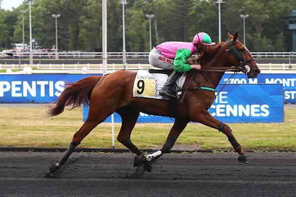 Photo d'arrivée de la course pmu PRIX SERPENTIS à PARIS-VINCENNES le Mardi 27 mai 2025