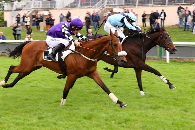 Photo d'arrivée de la course pmu PRIX KLEBER à STRASBOURG le Mercredi 28 mai 2025