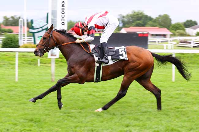 Photo d'arrivée de la course pmu PRIX ROCK'N ROLL à STRASBOURG le Mercredi 28 mai 2025