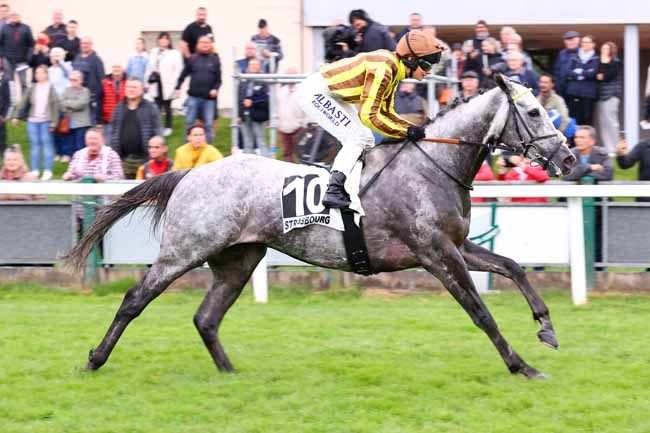 Arrivée quinté pmu PRIX BFM ALSACE à STRASBOURG