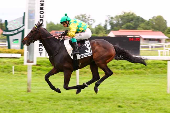 Photo d'arrivée de la course pmu PRIX NATHANAELLE ARTU à STRASBOURG le Mercredi 28 mai 2025