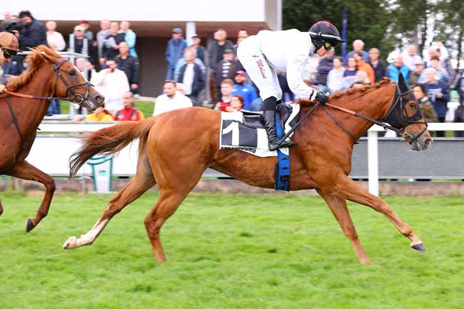 Photo d'arrivée de la course pmu PRIX DU JAZZ à STRASBOURG le Mercredi 28 mai 2025