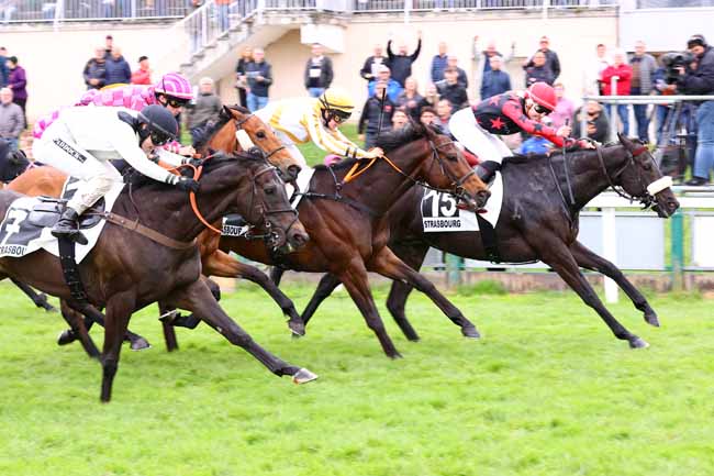 Photo d'arrivée de la course pmu PRIX DE LA VALSE à STRASBOURG le Mercredi 28 mai 2025